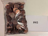 Full view of sealed bag filled with Canadian pennies next to #45 tag