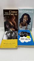Group view of all four books front covers