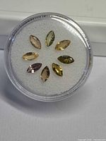 Front view of eight marquise tanzanites arranged in circle inside gem jar