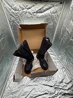 Boots standing in open box showing overall condition