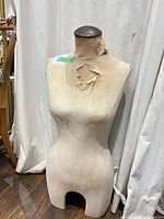 Front view of fabric dress form showing tears and stains