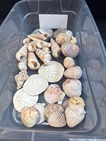 overview of entire assortment in bin