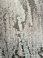 Close view of rug pile showing colour and texture