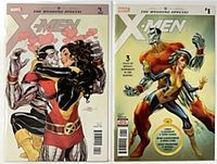 Both comics bagged and boarded, showing standard and variant covers side by side