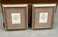 Front view of both framed leaf prints side by side