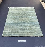 Full view of rectangular blue-green wool rug