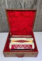 Accordion seated in open hard case showing red plush interior