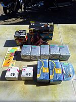 All packaged and loose bulbs laid out showing brands and types