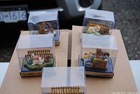 Four boxed resin figurines on cardboard, clear tops show cats and dogs on small bases