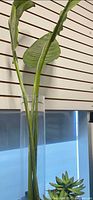 Tall vase with faux palm leaves