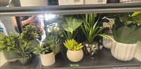 Shelf view showing multiple artificial plants in assorted planters