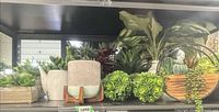 Shelf with multiple faux succulent arrangements and planters