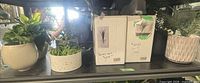 Shelf view showing multiple potted faux plants and two boxed grass arrangements