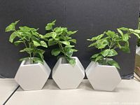 Three white hexagonal pots each holding artificial basil-style greenery