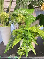 Medium fluted white vase and short round planter with faux foliage