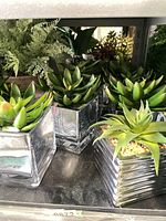 Shelf with several mirrored glass cube planters holding faux succulents and additional greenery pots in background