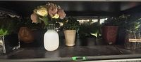 Shelf showing multiple artificial plants and containers