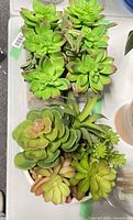 Top view of all three planters showing faux succulents
