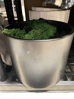 Matte black cylindrical planter with moss and rocks inside