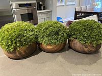 Three greenery arrangements in walnut-finish bowls on countertop