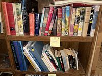 Overall view of two shelves showing mix of hardcovers and paperbacks