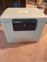 Front view showing Sentry branding, lock panel and overall exterior condition