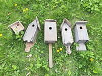 Group shot of five birdhouses on grass
