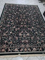 Full view of rug showing pattern, borders, and fringe