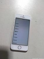 Front view of Apple iPhone 5s powered on displaying setup screen