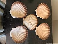 Five shell-shaped dishes displayed face up