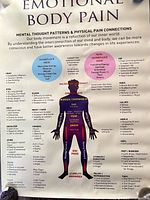 Emotional Body Pain chart full view