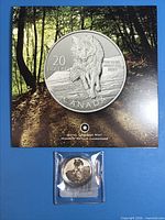 Front of forest-scene display card with coin design