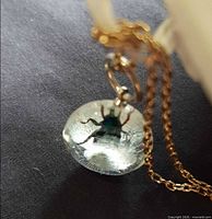 Close-up of pendant showing embedded fly specimen and chain