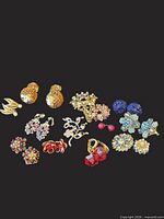 Overview of all 11 pairs of clip-on earrings on black background