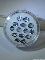 Round display case holding 14 faceted blue Tanzanite stones
