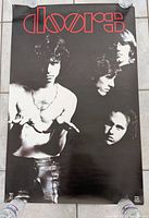 Full view of the Doors poster showing design and dimensions reference