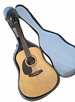 Guitar inside open molded case, full front view