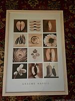 Front view of framed print showing artwork and frame