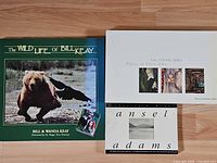 All three books laid out showing front covers