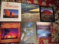 All six books front covers displayed on patterned rug