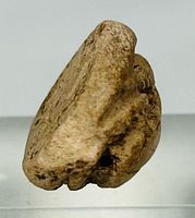 Side view showing thickness and patina of steatite scarab