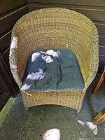 Front view showing wicker armchair and cushion