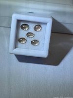 Five oval champagne zircons in white display box