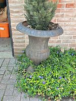 Full view of cast iron urn with evergreen