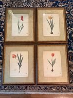 All four framed prints grouped on rug