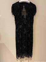 Full front view of black beaded fringe dress on hanger