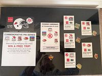Full view of framed display showing pins and printed sheets
