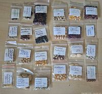 All 24 labelled seed packets laid out