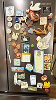 Full view of assorted magnets on fridge door
