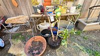 Table with assorted pots, pail, frog ornament, watering can visible